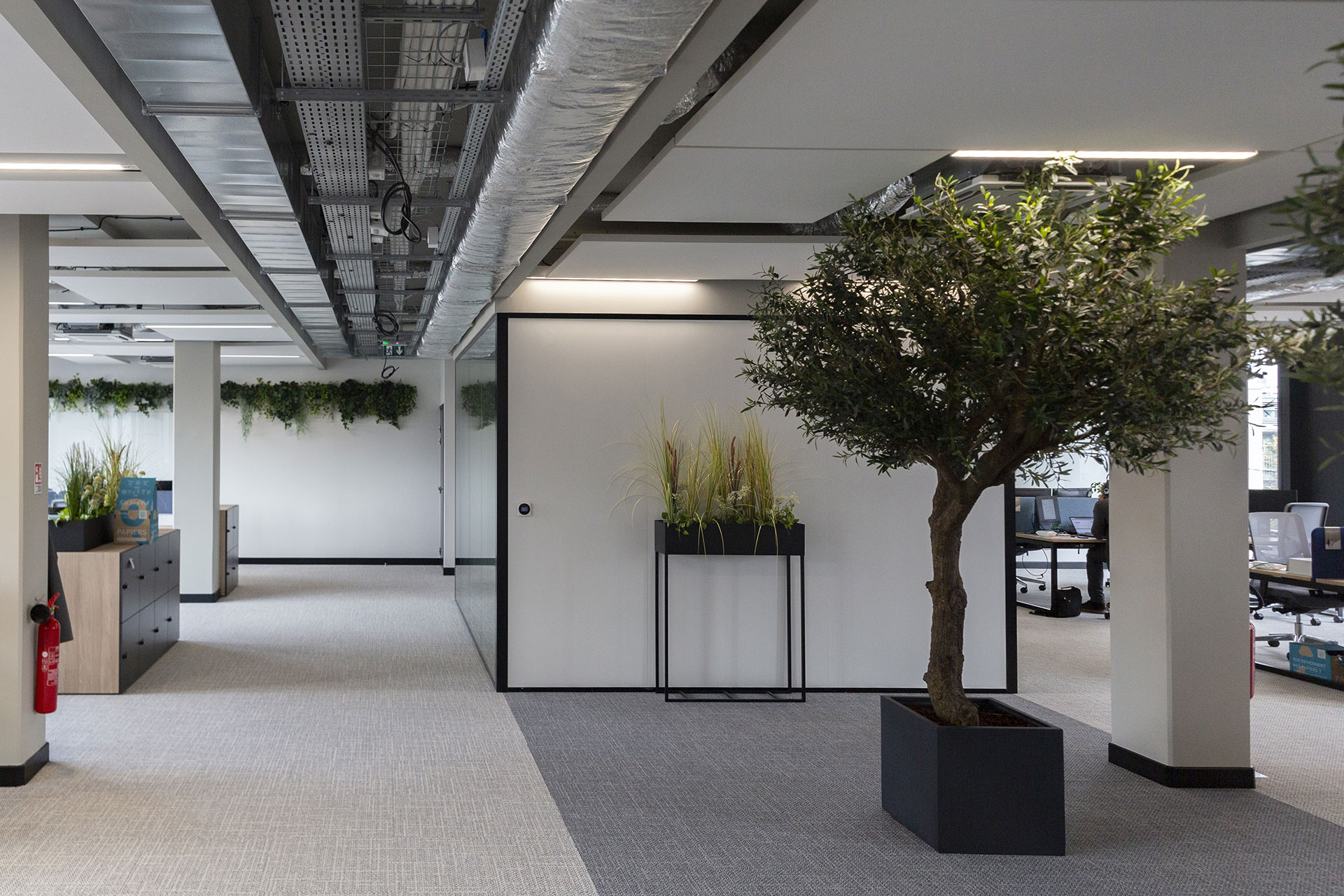 Peinture intérieure — Espaces professionnels, Montreuil